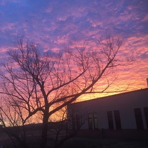 Meet your Posher, Nomie